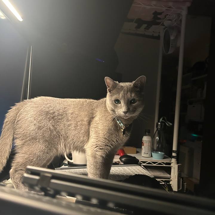 4b0e6dd9 f5f8 453e ad87 8d5de3a6701a 1687501778358