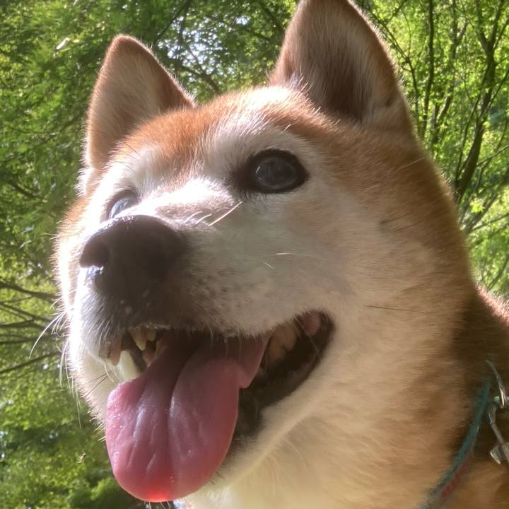 4b0e8915 00e4 417f a3c0 ee2b27319060 1751951045651