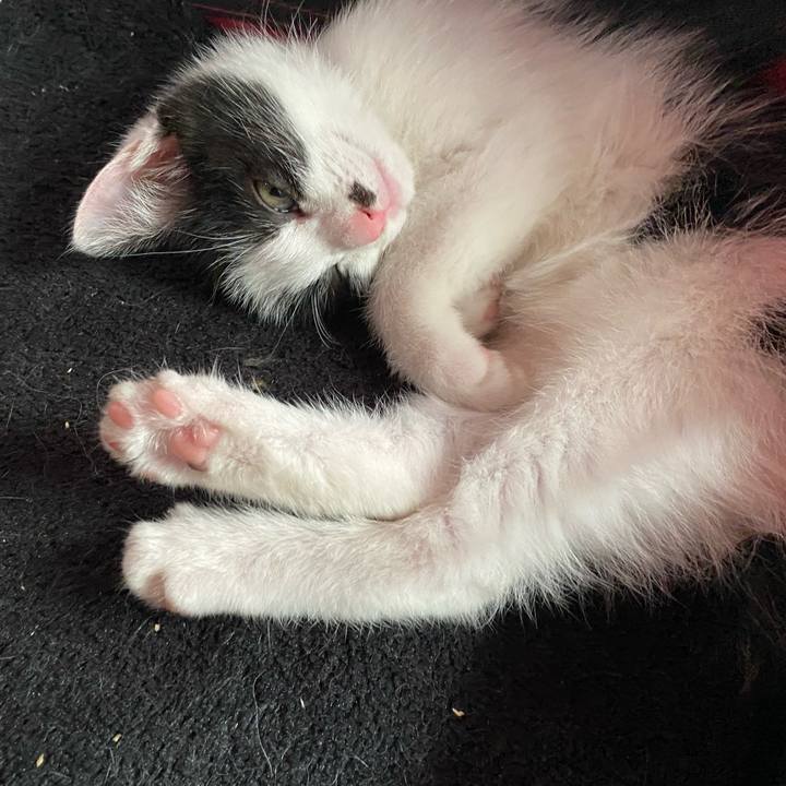 4b0ea6bc 974b 4276 8a39 f80513cdc4f7 1653286389937