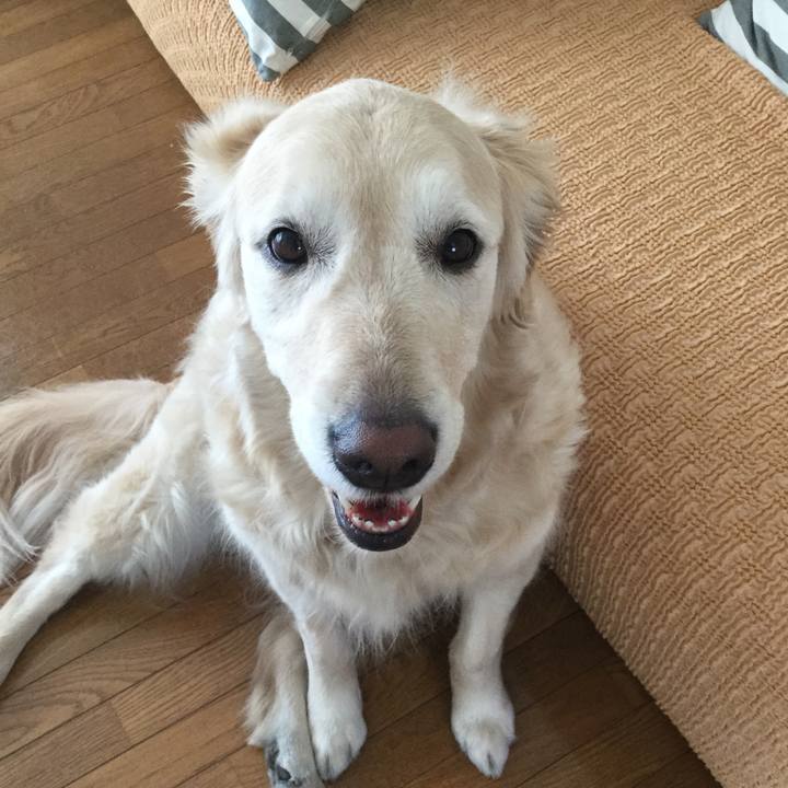 4b0eacab 83c1 413e b00f 6cf71220314d 1522708666938