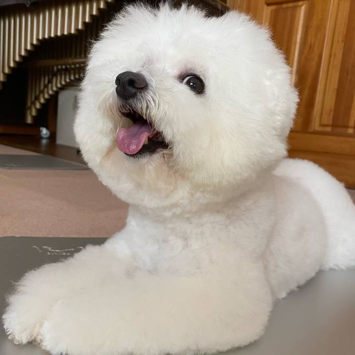 4b0eaf61 f3c0 43b2 8018 23b5a09461a6 1629952799663