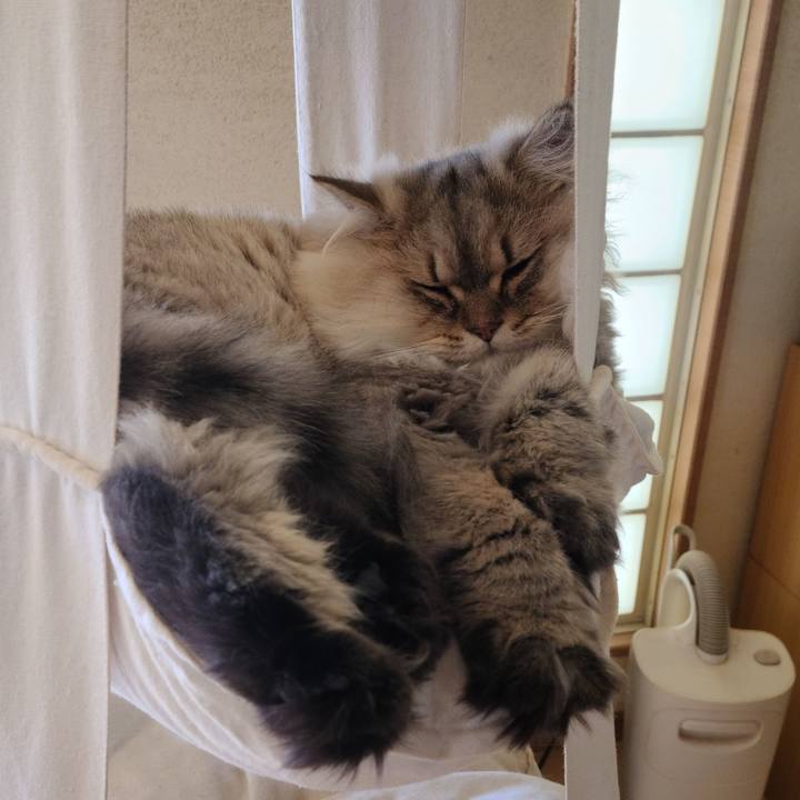 4b0f05c2 360d 4be0 b301 1a1dd617a29d 1603941865638