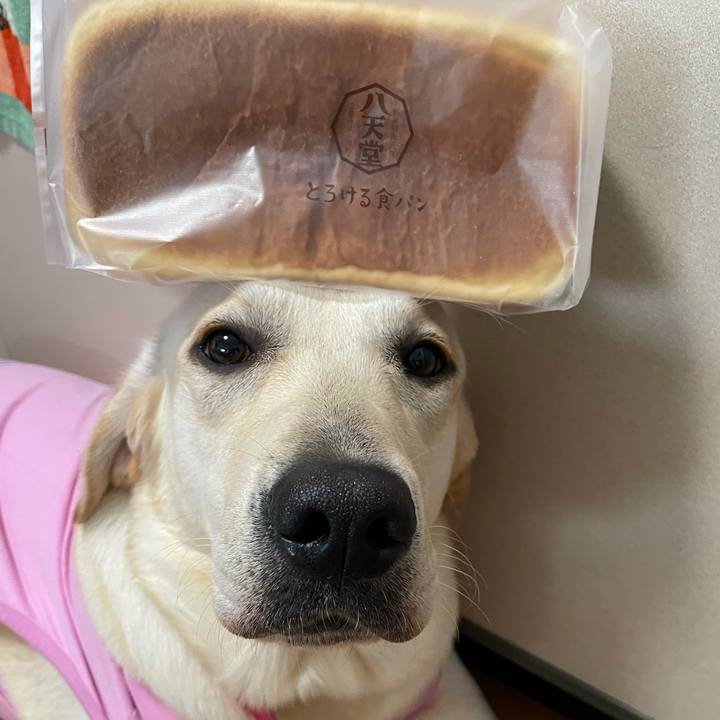 4b0f4c18 043d 475e b10a 2a77c7f15e12 1633592123438