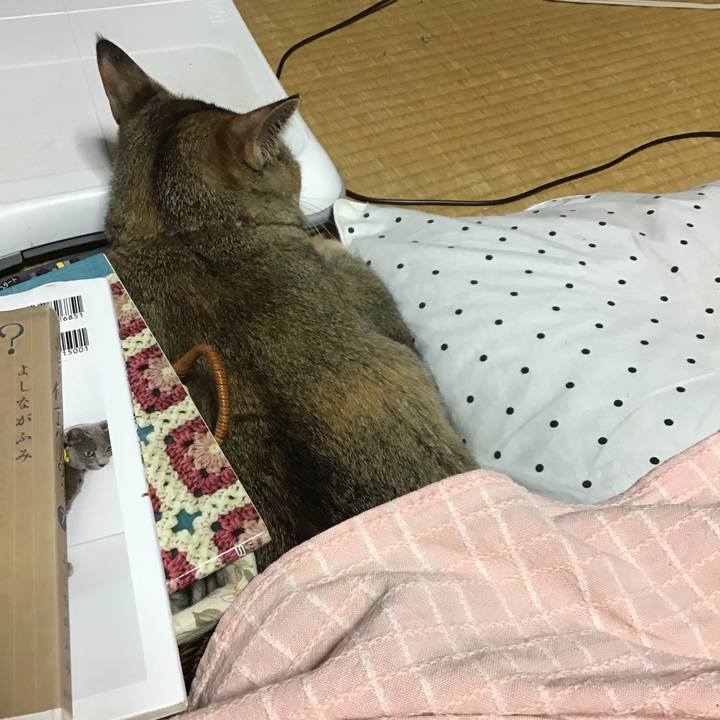 4b0f5eb8 448a 4ce8 8539 492bb6fe9a20 1581330037070