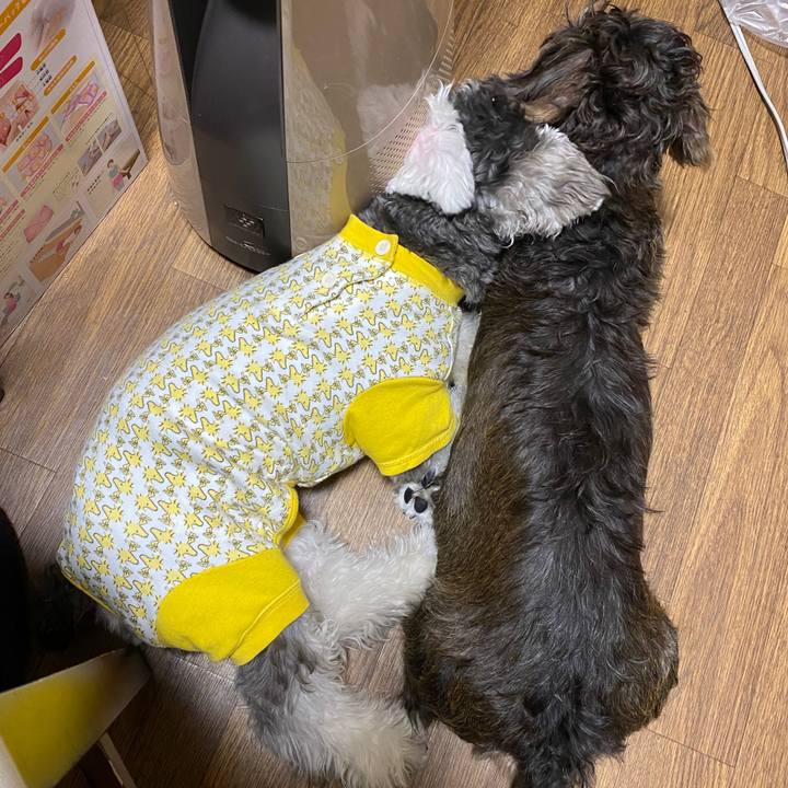 4b0fafbf 4700 4a6b a78a 5364fab1d9af 1574090605644