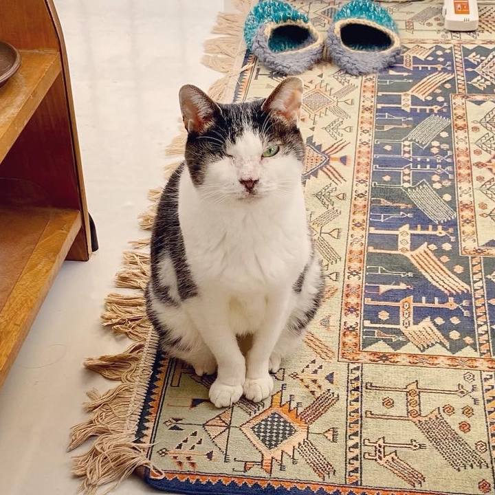 4b102076 31e5 4dc7 87d8 88853ec3fdd1 1611557623386