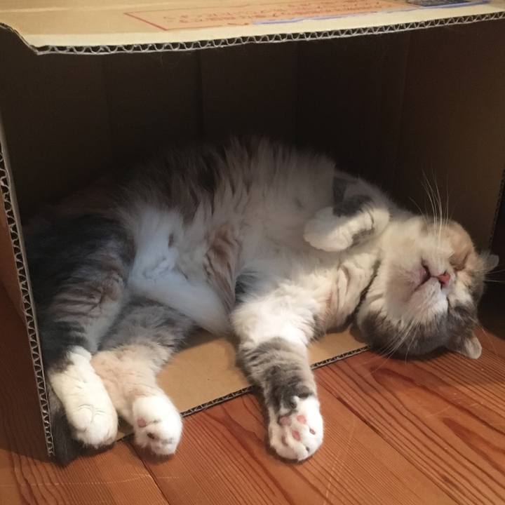 4b102097 f6bf 4e3a b72d 091df1fa2404 1563960088123