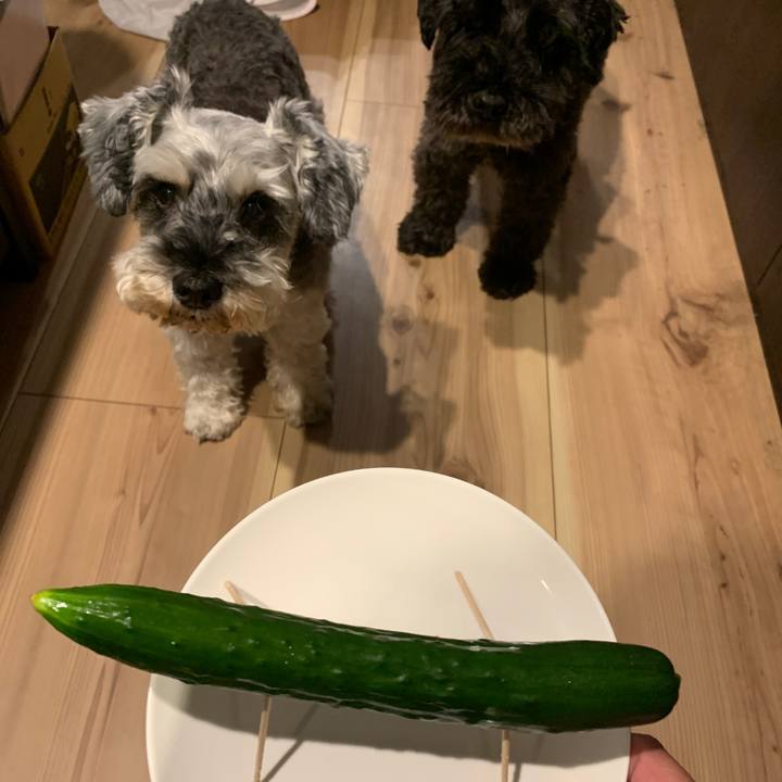 4b1022c3 df25 4ad3 9715 bc222cd6f40b 1691921526808