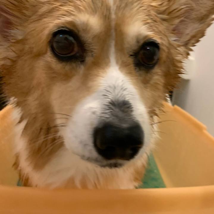 4b102ae4 9dfd 4269 b762 002418b7fde8 1703580668690