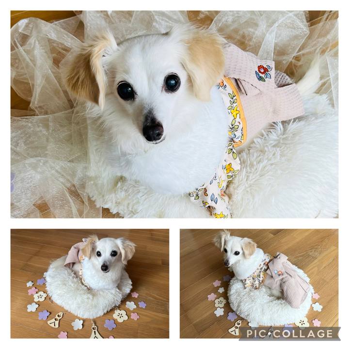 4b1053f7 6dae 42b6 8588 da2dbfc44924 1740959315788