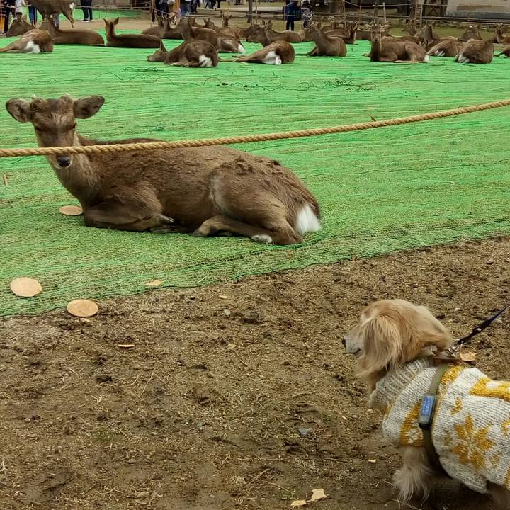 4b10b191 1d43 4156 9abf 76cf545ece59 1554040849744