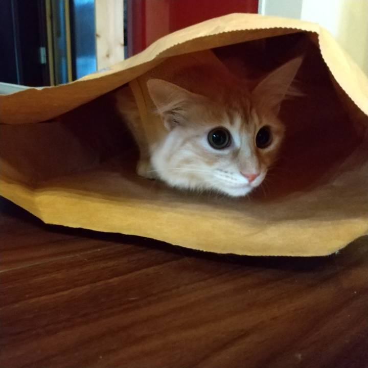 4b10cd17 913f 4515 bd1c 19c41c62fc85 1614845401472