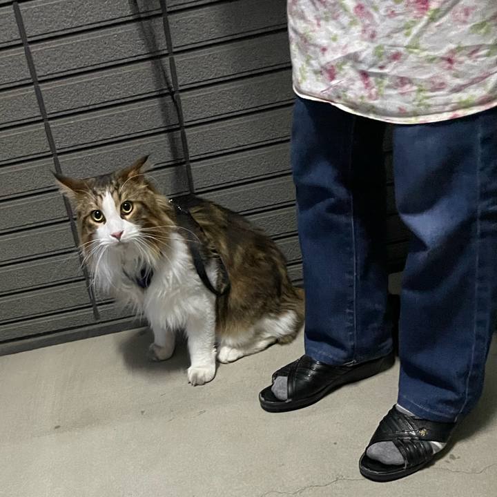 4b10dfa4 b02d 4a74 811c a03258a627f8 1668932258446