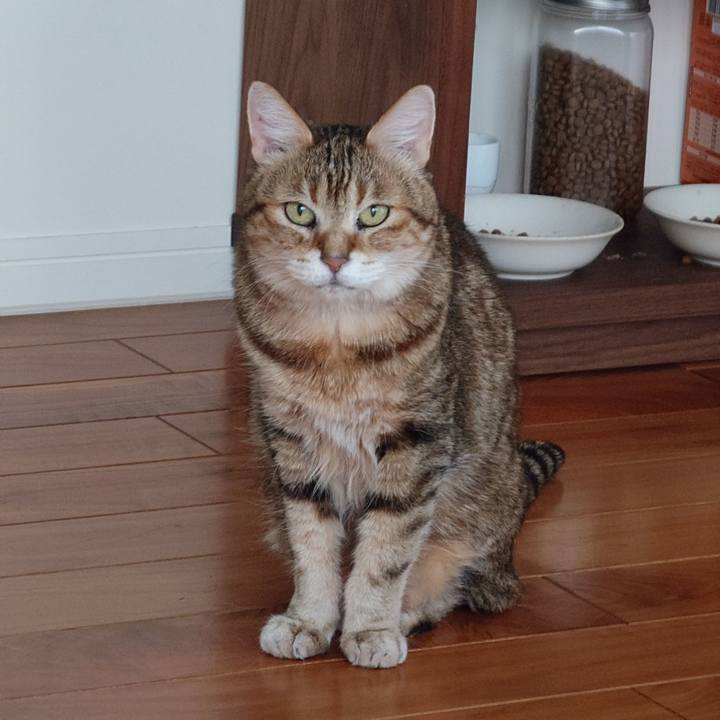 4b110e1a f14a 42af 97e6 b9b9f212fe13 1773303727113