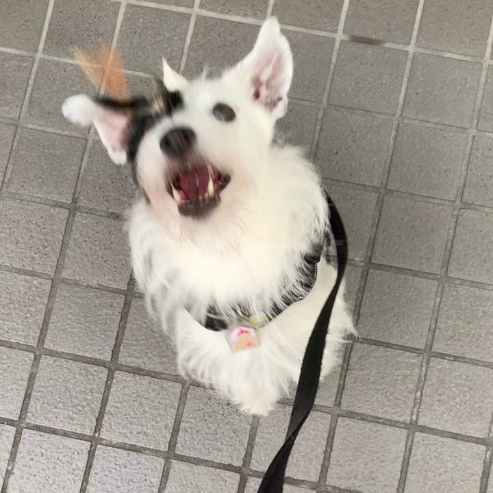 4b11258f a9a9 48b3 a6ed 0a50d241e1a7 1697361227527