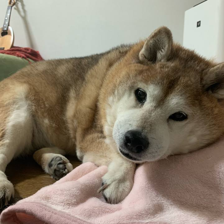 4b1141ee 8769 446e b023 beba832e5647 1611317098134