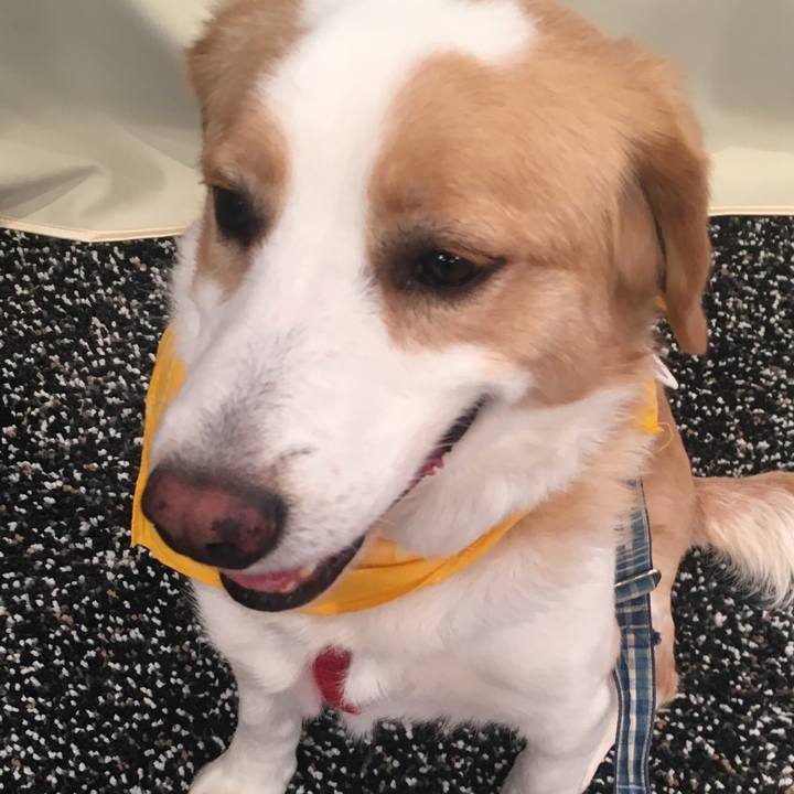 4b114fdd f934 4b9f b8fd 71e552c2e9ca 1527346993419