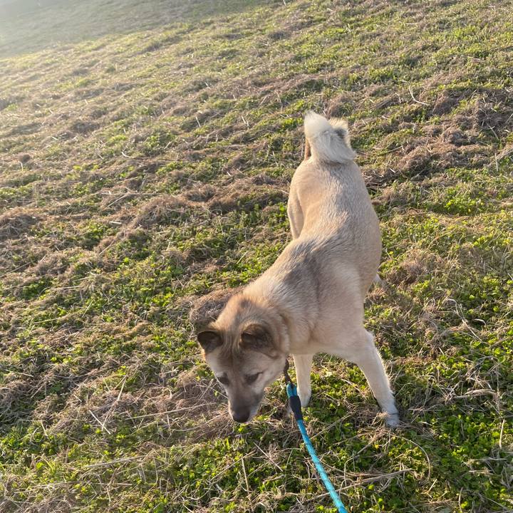 4b11d3f5 7fd1 4509 a0a4 2feae093f2ca 1680179764440