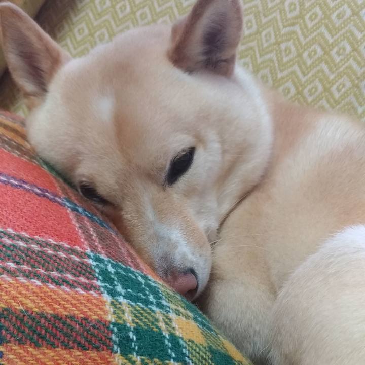 4b12696d f2cc 4906 8f6e fd1419b0f1cd 1576281628416