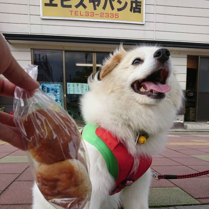 4b12b539 e5f7 4f06 86ec b489c0cc5c86 1536134617587