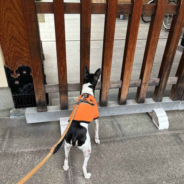 4b12e9ff c69e 43e2 a045 7c43308c9f8d 1635675819142