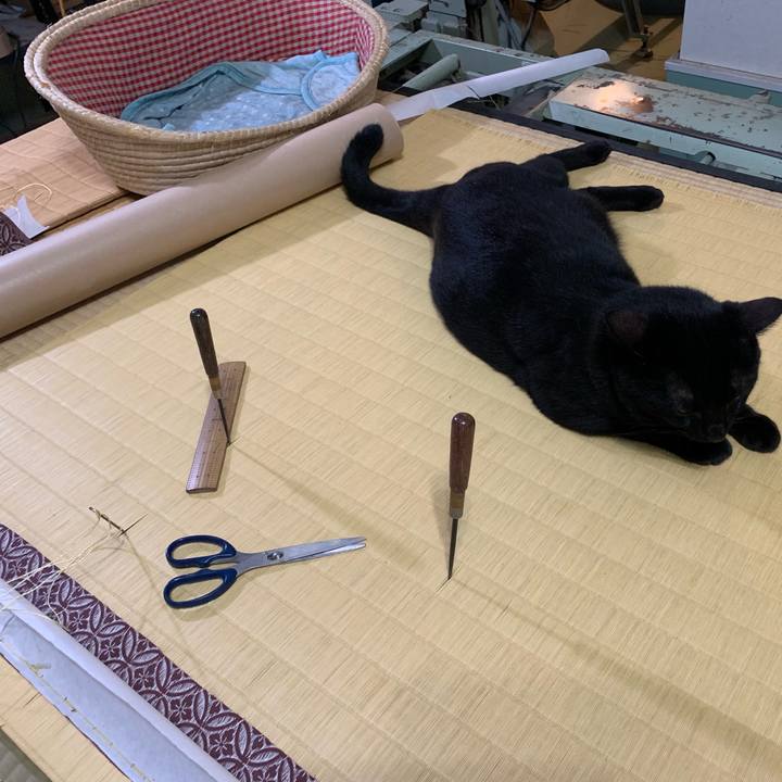 4b130765 926b 444b 8f5c 8ab5d8c5e4e7 1569503699493