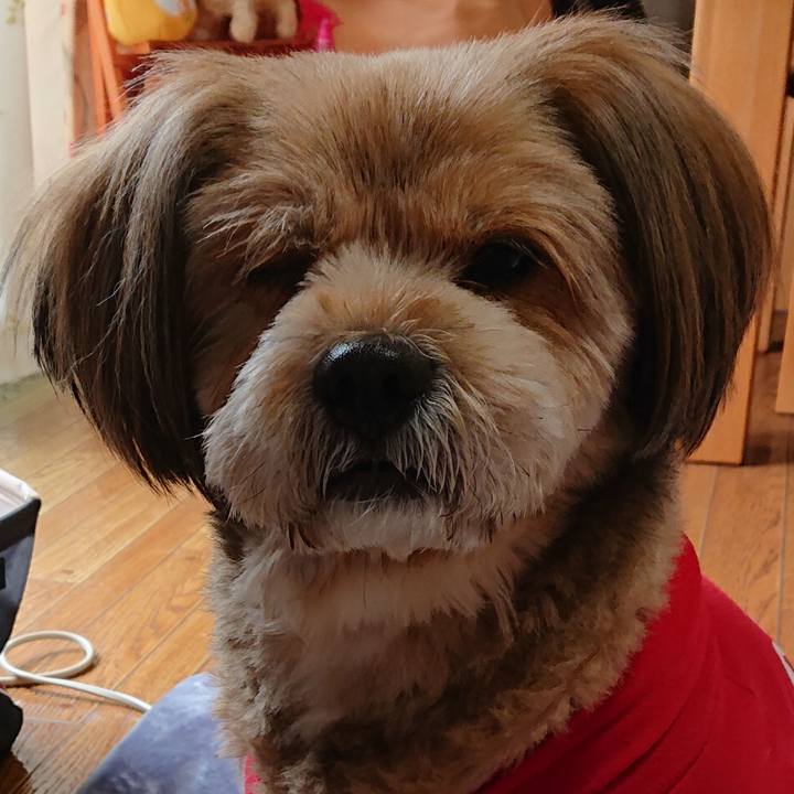 4b13633d 6ebf 4e9c 8d79 d88b9fb2403d 1583022053910