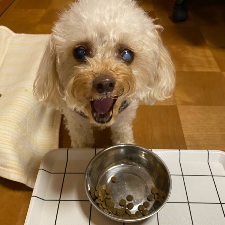 4b1381e7 d5c5 4672 9410 36c96748ecea 1616757156444