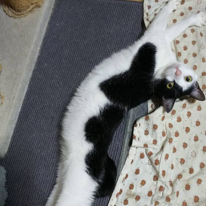 4b13830f ac7e 4c8f be22 2d29fe5b6ed8 1544239560626