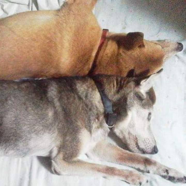 4b139359 740a 43ca 8516 3079ae2b1cb6 1608809952149