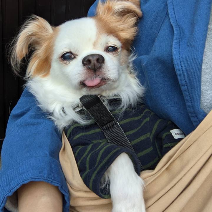 4b139780 ade8 42b2 bfbc 3e33d43ba010 1639201577561