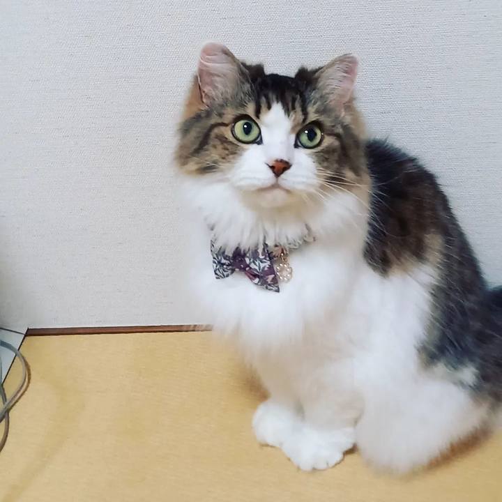 4b13ab71 c124 4b81 94d2 b4c554ce471f 1672402977195