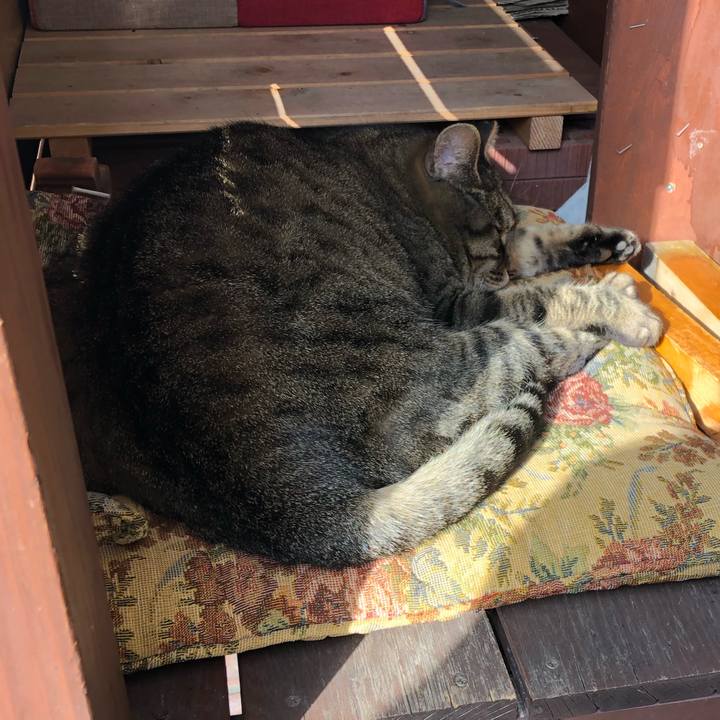 4b13bbf2 a822 4dc2 827b f861af5891b2 1607229822456