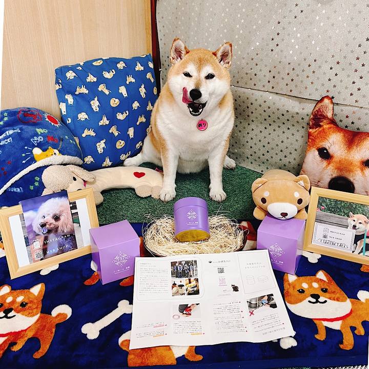 4b13f45b af81 4fd1 a4d5 70fe1e97ed06 1685849424855