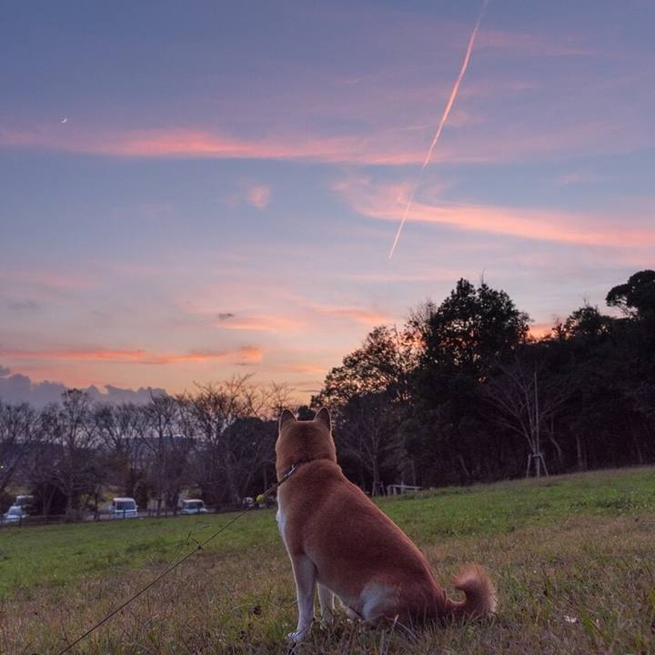 4b14182e a9eb 4832 84a8 a499d8d8f615 1542205504487