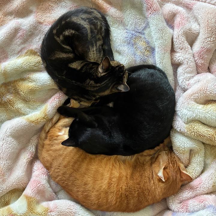 4b147f71 517a 46b2 b1aa 7793207ee466 1758423534484