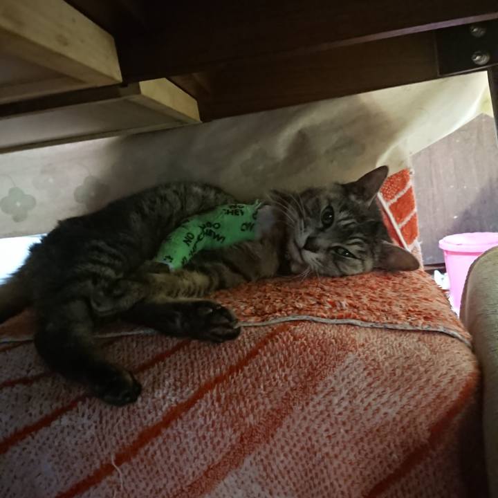 4b14829f 9e5e 44f8 aac6 582fabffdf6c 1587117469499