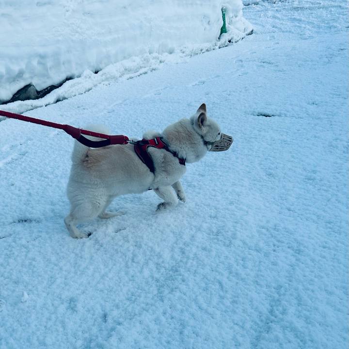 4b148868 3eff 4e2b 83f7 96e71b6c09d6 1710455698790