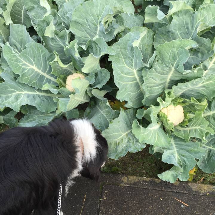 4b148eef 54a9 4b4b b492 42bb78211226 1542413896282