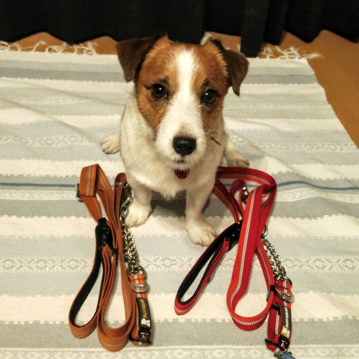 4b149c61 add4 4de7 b30b e209a6773ae8 1531482340623