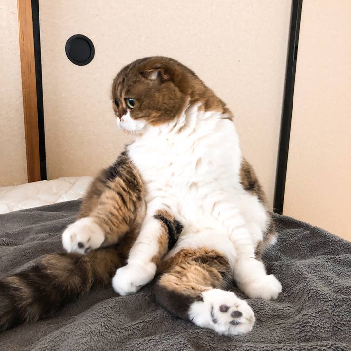 4b14b094 906f 4680 a656 634431a7b40c 1544674677666