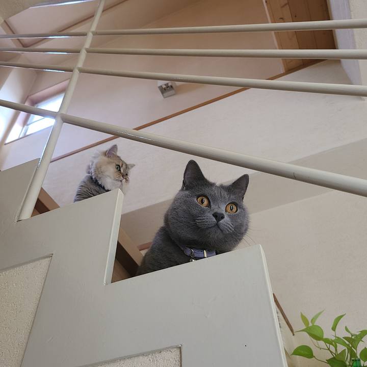 4b14bc00 0f6c 4d03 97e7 4509898fd2c2 1600645932001