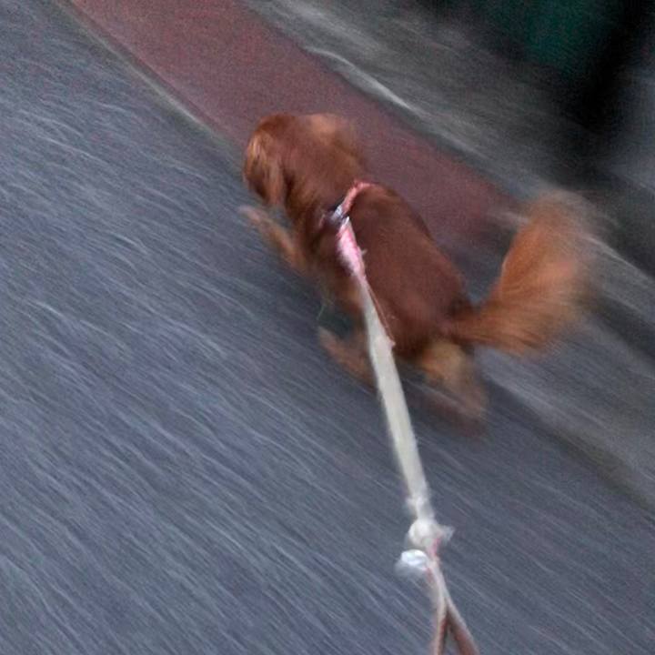 4b14f062 8bdd 4fae 8b09 c53e84c56542 1560264817655