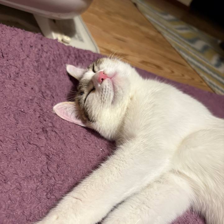 4b14ffec 68b8 48a3 8b5b 62c59bed0f7d 1769253258996