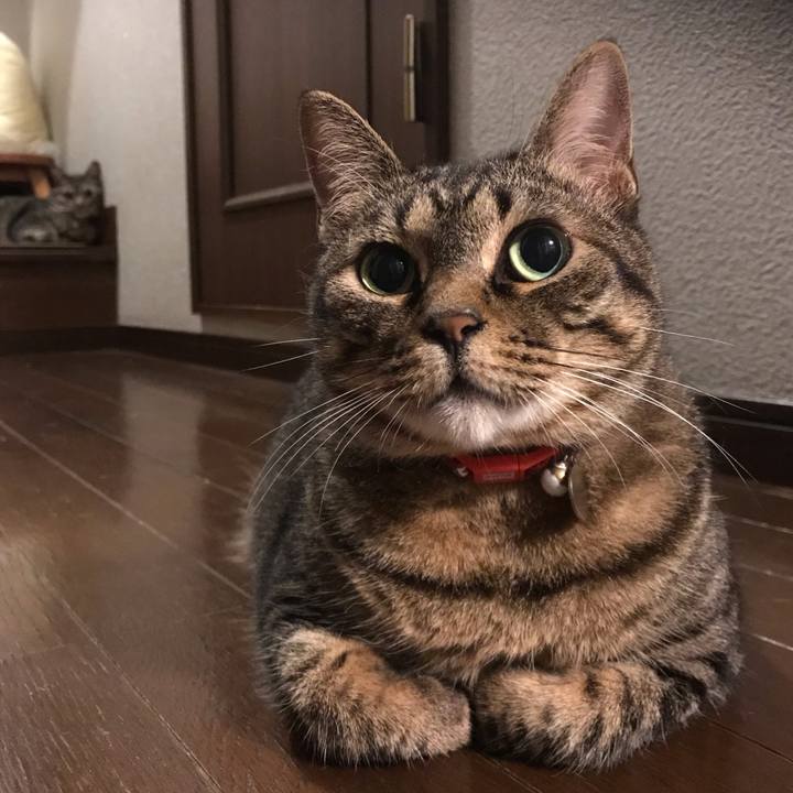 4b152d37 18c9 4732 850f 2c2b942e45a1 1560620927410