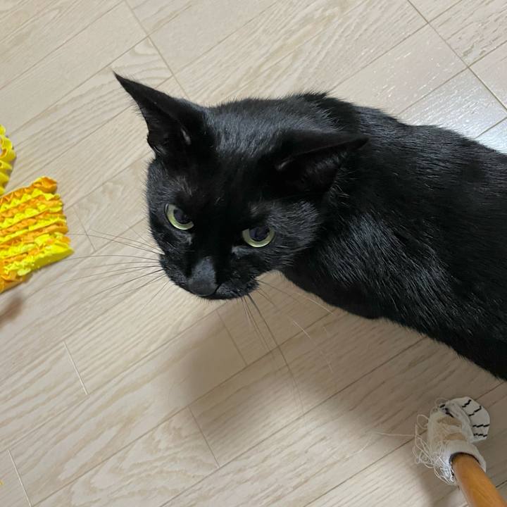 4b154640 8402 41f8 8bff d20041d10f09 1669726653408