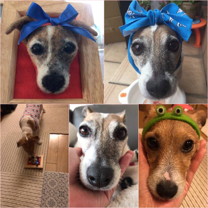 4b1575da e808 4ceb 9bc4 2987d0a9442c 1565045954291