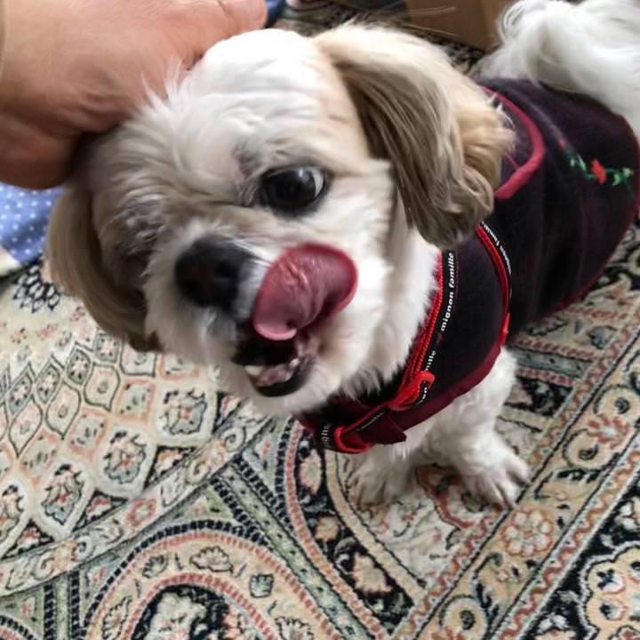 4b1584a4 9a14 4c31 a6bd 02607d496572 1545775072532