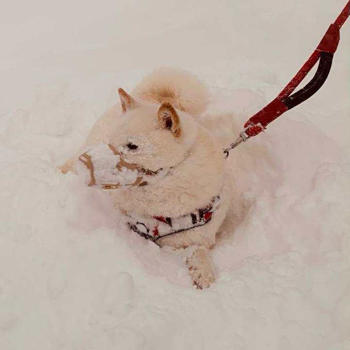 4b158cac 6c57 4c1e b0a0 eb50c7899371 1676846899830