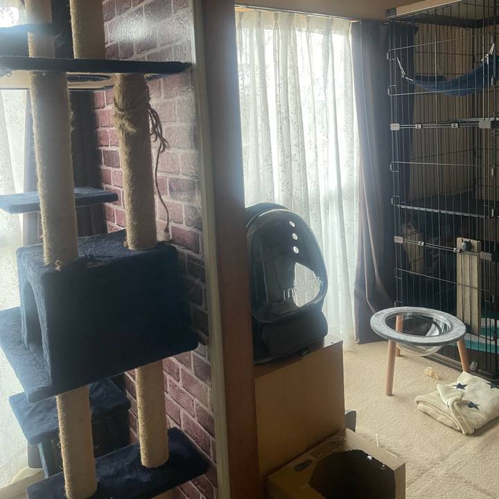 4b15900b 0703 4bec 9db6 286dc940ac32 1738829227446